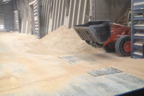 photo-i---phone-manuele-541