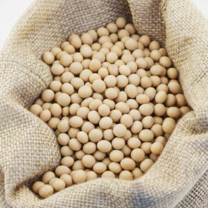 Semi di soja